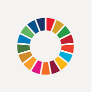 SDG Wheel Logo