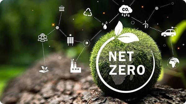 Carbon & Net-Zero Section