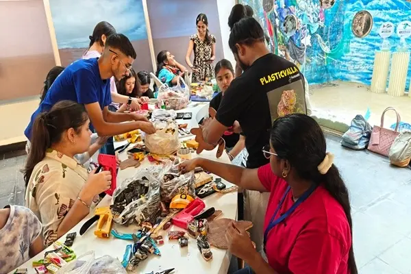 Turtle-Making Workshop 