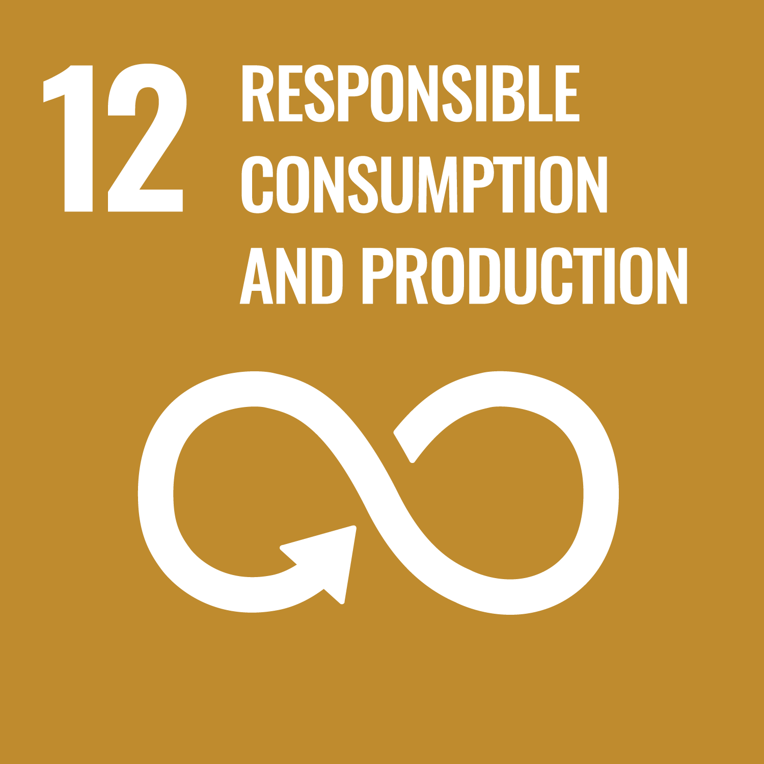SDG 12 Responsible Consumption and Production Tile
