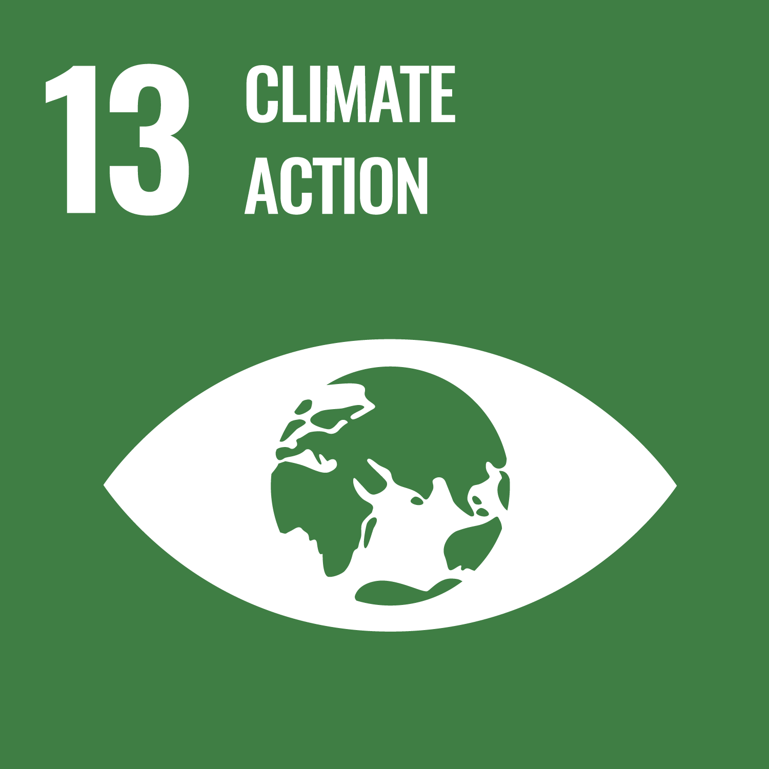 SDG 13 Climate Action Tile