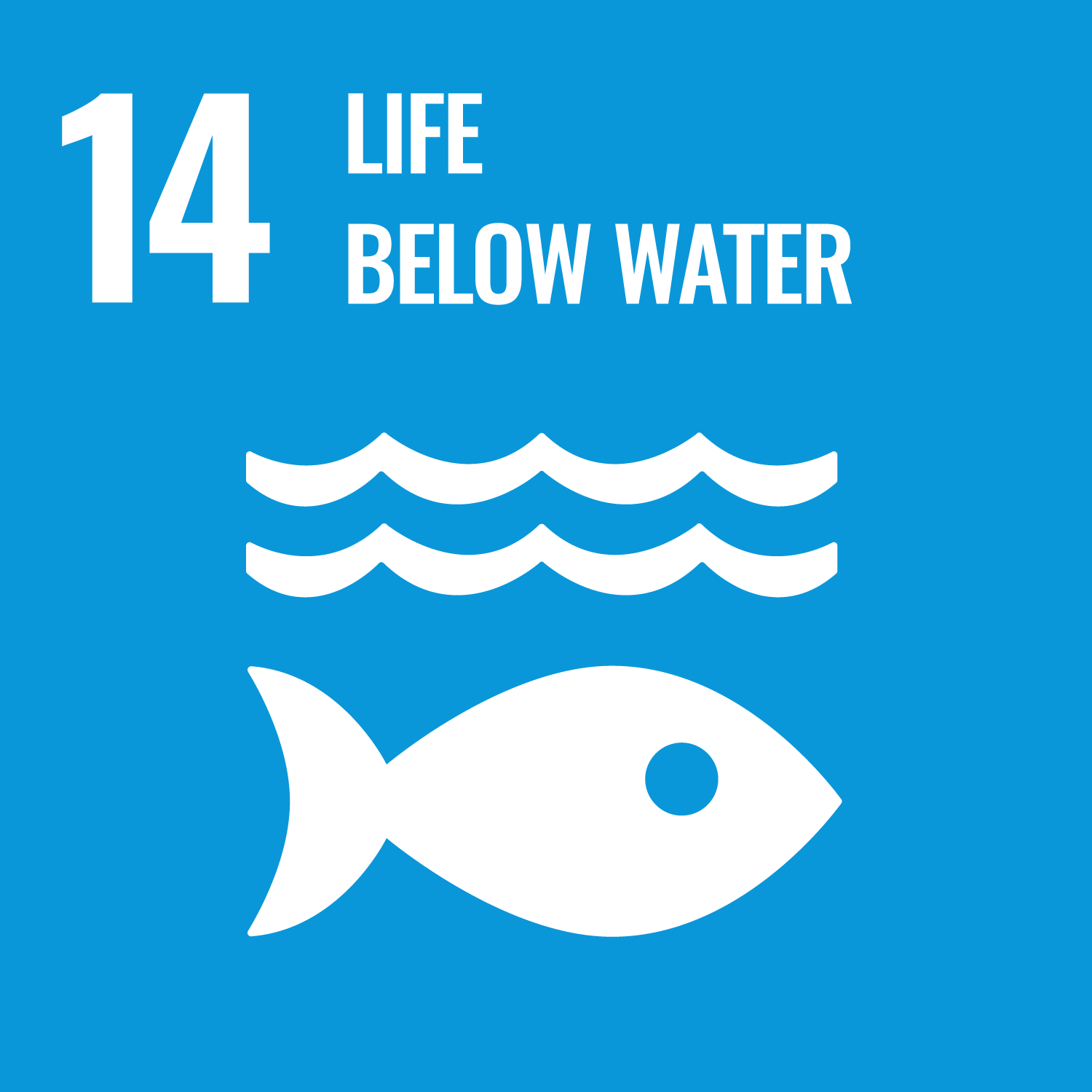 SDG 14 Life Below Water Tile