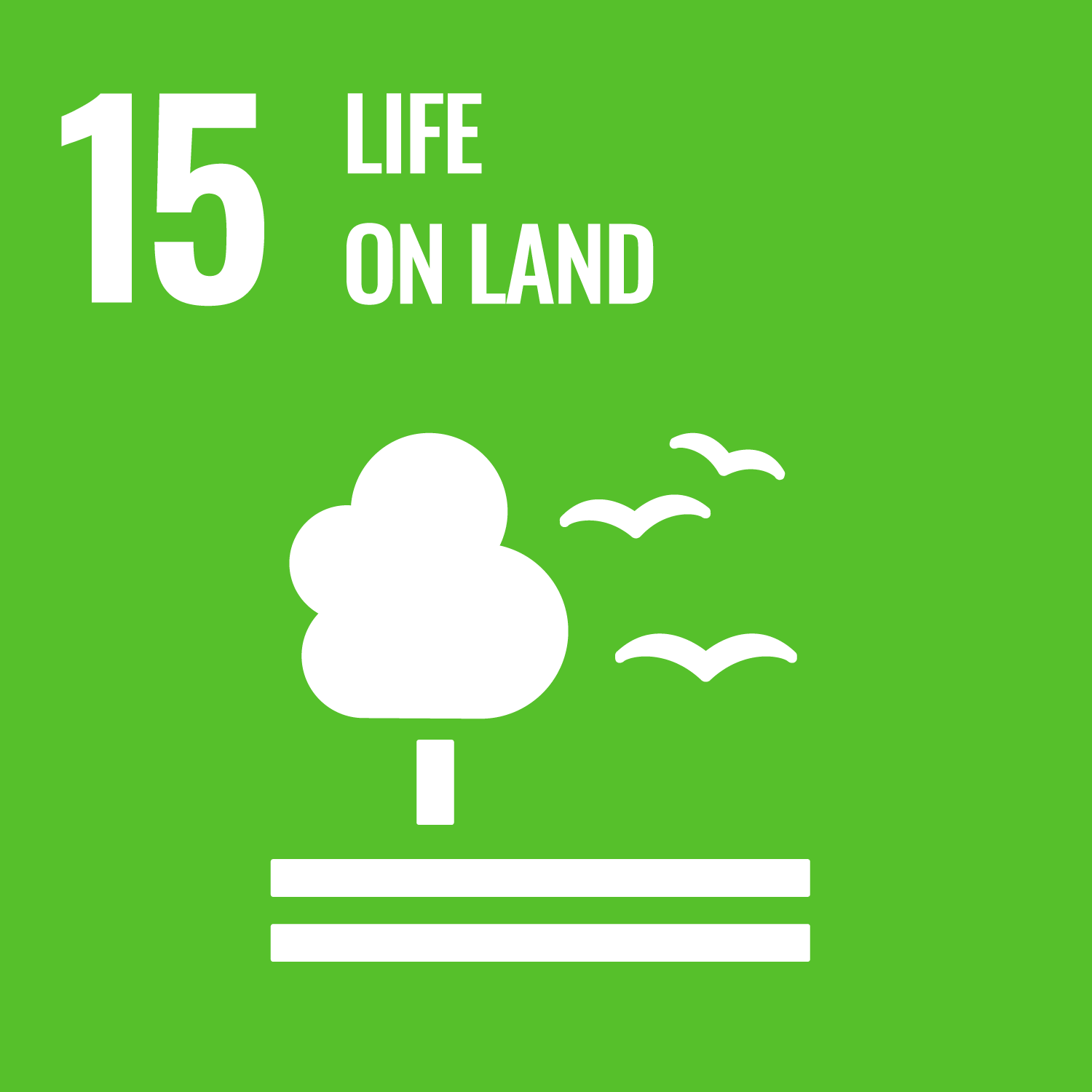 SDG 15 Life on Land Tile
