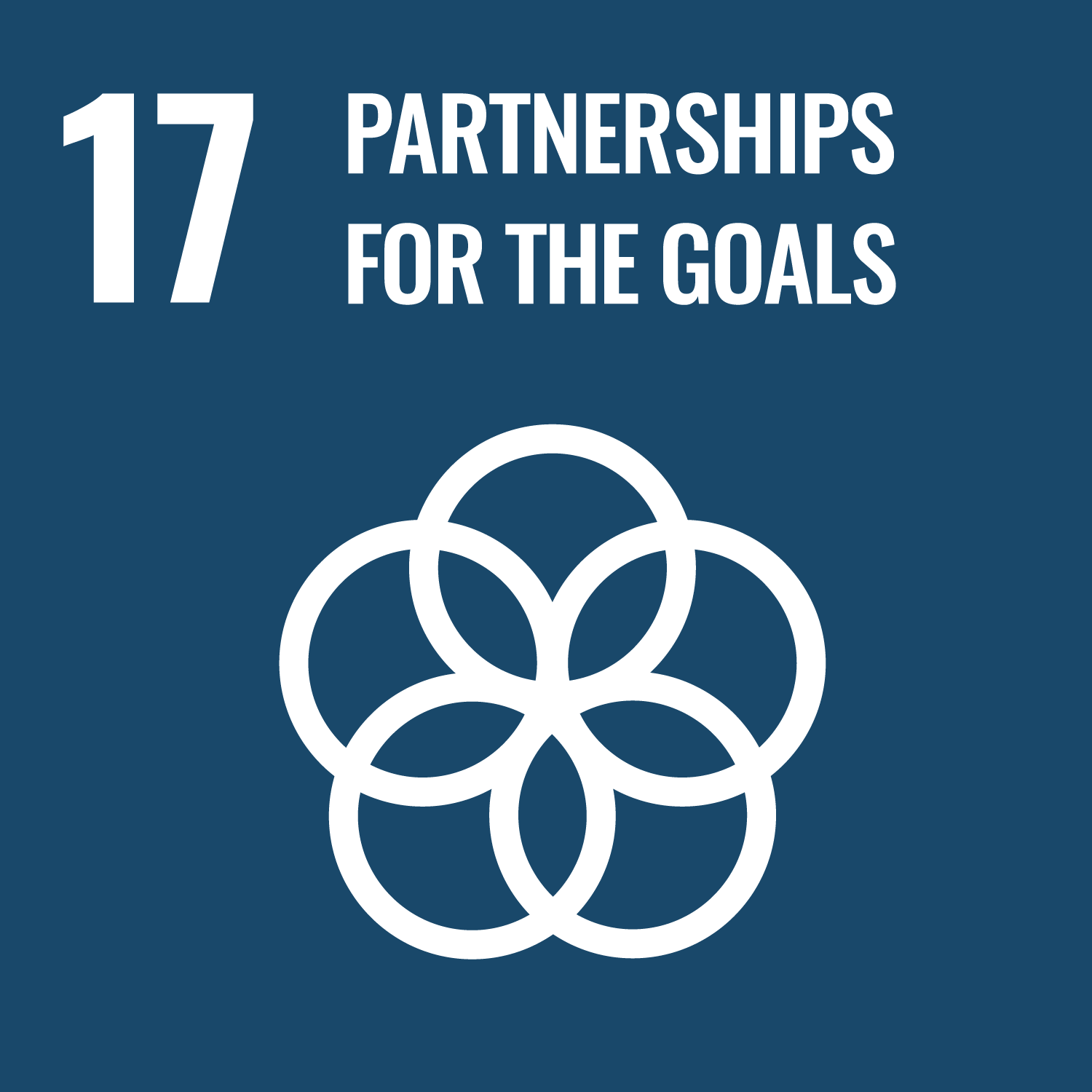 SDG 17 Partnerships for the Goals Tile