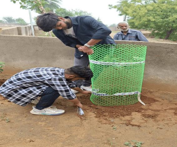 Vriksha Ropan Celebration
