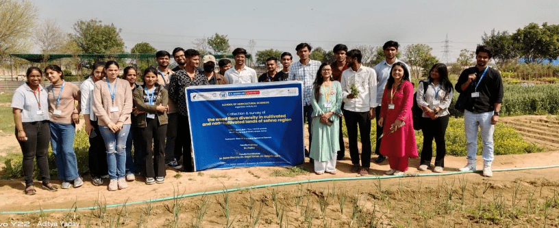 Field Visit for the Collection and Survey of the Weed Flora Diversity in Cultivated and Non-cultivated Lands
