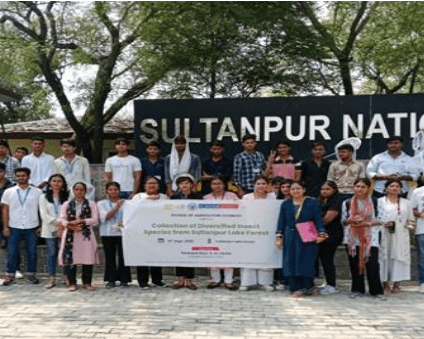 Collection of Diversified insects Species From Sultanpur Lake Forest