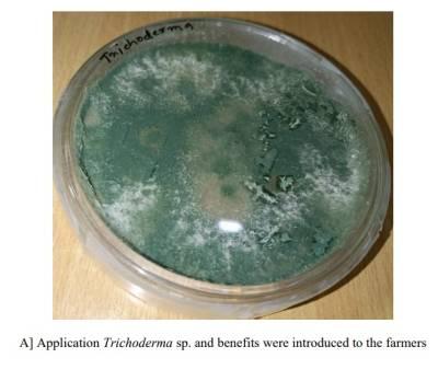 Case Study: Regulatory Barriers to the Acceptance of Bio-Pesticides among Farmers