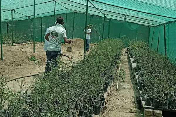 Field Visit to Save Aravali Trust Nursery