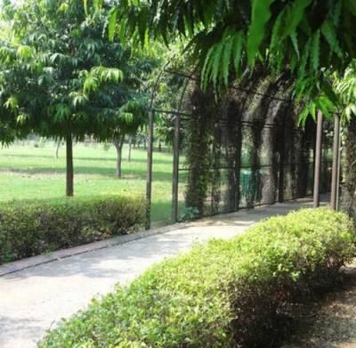 Exploring Nature's richness & medicinal plant potential to broaden understanding of Pharmacognosy & sustainable healthcare practices